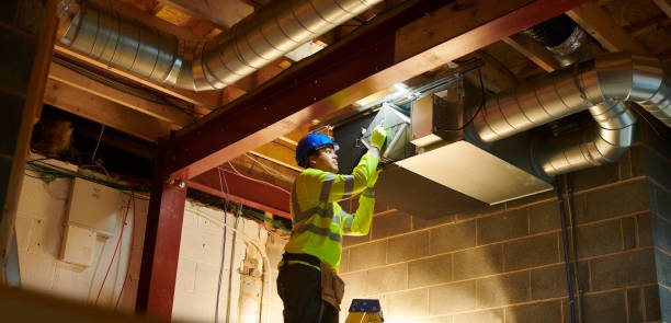 Air Duct Mold Removal in TX