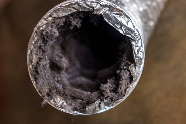 Best Home Air Vent Cleaning  in Shamrock, TX